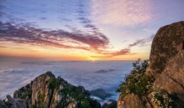 山东泰山爆料者名单最新,幕后真相一一揭晓